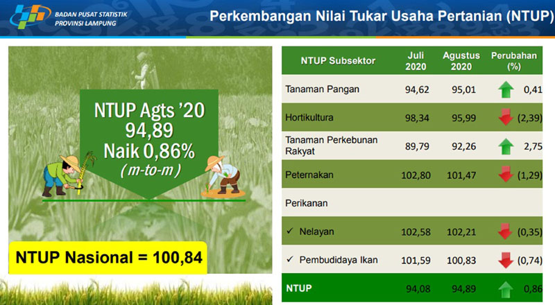 Agustus Nilai Tukar Petani Di Lampung Naik Persen